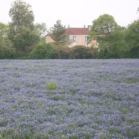 Manoir Angle Bed and Breakfast Blanzay-sur-Boutonne Eksteriør billede