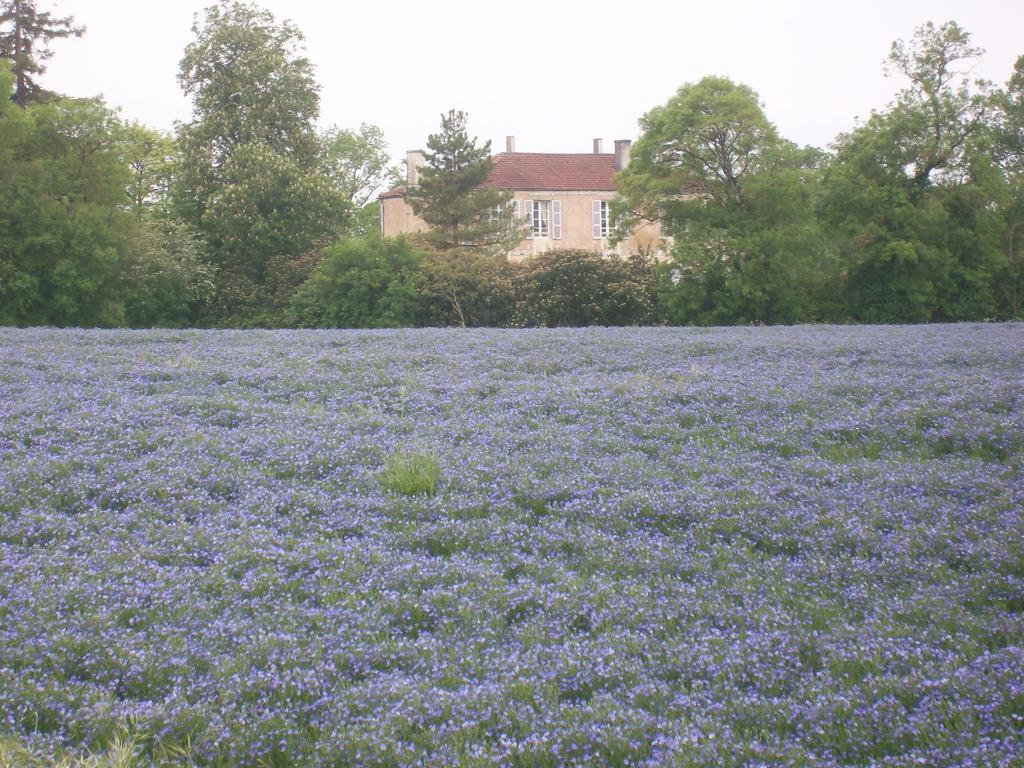 Manoir Angle Bed and Breakfast Blanzay-sur-Boutonne Eksteriør billede